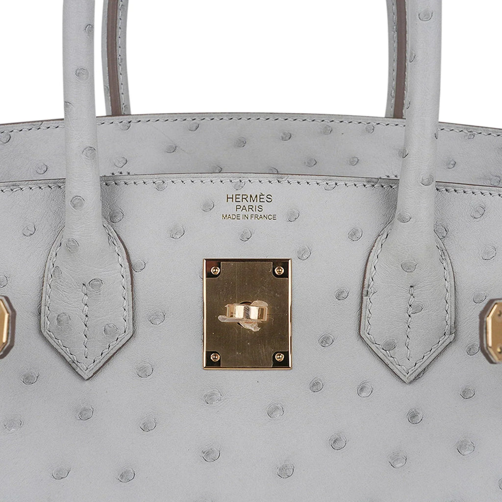 Birkin 30 Bag Gris Perle Ostrich with Gold Hardware