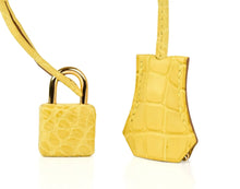 Load image into Gallery viewer, Birkin 35 Bag Matte Alligator Mimosa Gold Hardware Crazy Fabulous