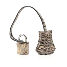 Load image into Gallery viewer, Birkin 25 Bag Ombre Lizard Palladium Hardware Holy Grail Bag