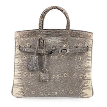 Load image into Gallery viewer, Birkin 25 Bag Ombre Lizard Palladium Hardware Holy Grail Bag