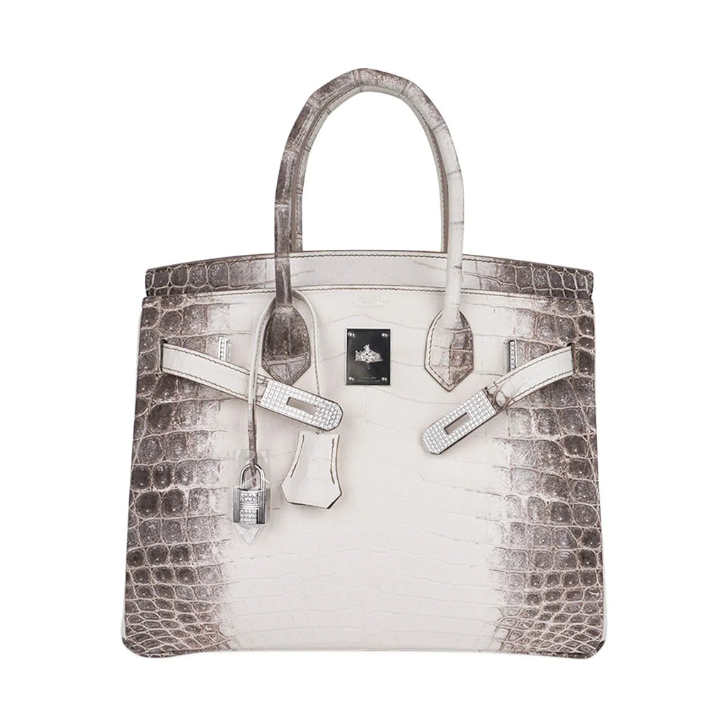 Birkin 30 Bag Diamond Himalaya Blanc Matte Niloticus Crocodile with 18k White Gold Hardware