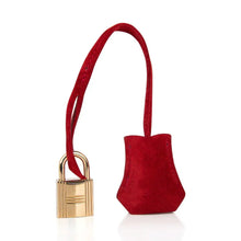 Load image into Gallery viewer, Birkin 25 Doblis Bag Rouge Vif Suede Gold Hardware