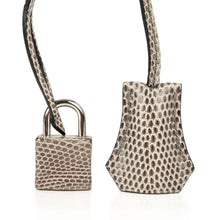 Load image into Gallery viewer, Birkin 25 Bag Gris Agate Lizard Palladium Hardware VERY Rare