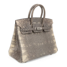 Load image into Gallery viewer, Birkin 25 Bag Ombre Lizard Palladium Hardware Holy Grail Bag