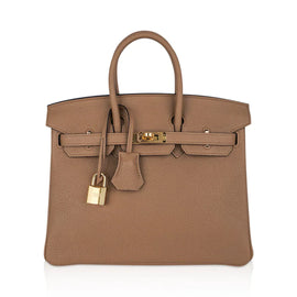 Birkin 25 Bag in Chai Togo Leather with Gold Hardware