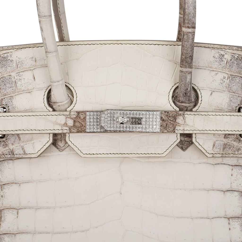 Birkin 35 Diamond Blanc Himalaya Matte Crocodile Limited Edition Bag