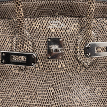 Load image into Gallery viewer, Birkin 25 Bag Ombre Lizard Palladium Hardware Holy Grail Bag
