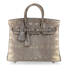 Load image into Gallery viewer, Birkin 25 Bag Ombre Lizard Palladium Hardware Holy Grail Bag