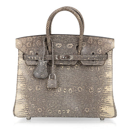 Birkin 25 Bag Ombre Lizard Palladium Hardware Holy Grail Bag