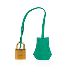 Load image into Gallery viewer, Kelly Retourne 25 Bag Menthe Togo Gold Hardware New w/Box